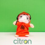 Jucărie interactivă repetitivă Hamster (Mix)