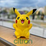 Jucărie de pluș Pikachu, 25 cm (Mix)