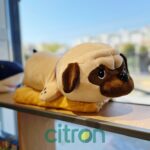 Jucărie de pluș 2 în 1 Mops, pătură + pernă, 60 cm - imagine 2