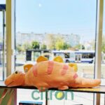 Jucărie de pluș pernă Dinozaur, 110 cm (Verde) — изображение 3